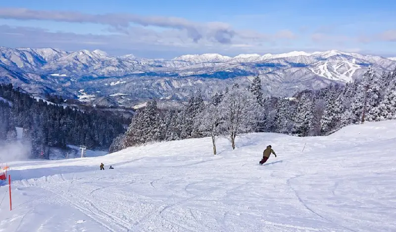 WhitePIA Takasu: 1 Day Lift Pass & Shuttle Bus Package from Nagoya - view 1