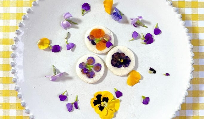 Vegan Korean Food Cooking Class in Itaewon, Seoul