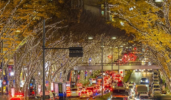 Tokyo Customized Private City Sightseeing 1 Day Tour