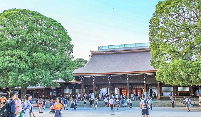 Tokyo Customized Private City Sightseeing 1 Day Tour