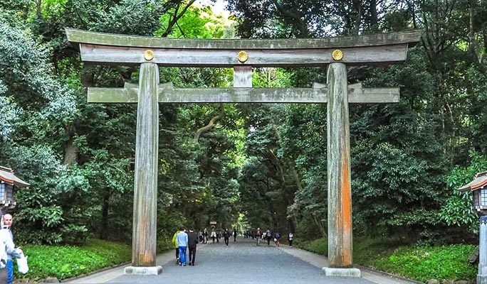 Tokyo Customized Private City Sightseeing 1 Day Tour