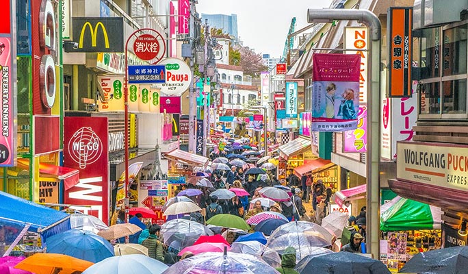 Tokyo Customized Private City Sightseeing 1 Day Tour