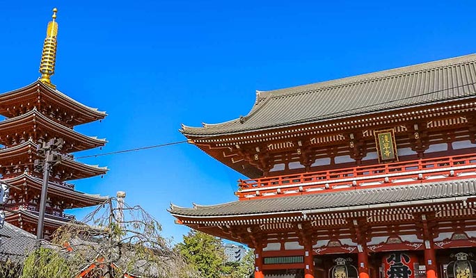 Tokyo Must-See Spots 1 Day Private Tour