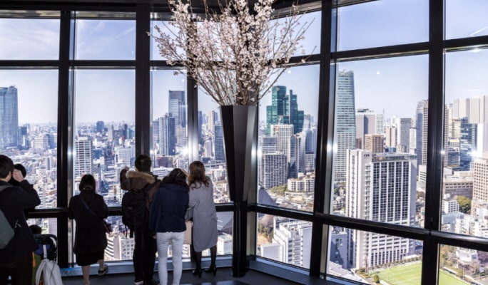 Skyliner + Tokyo Subway + Tokyo Tower Main Deck Discounted Combo Ticket
