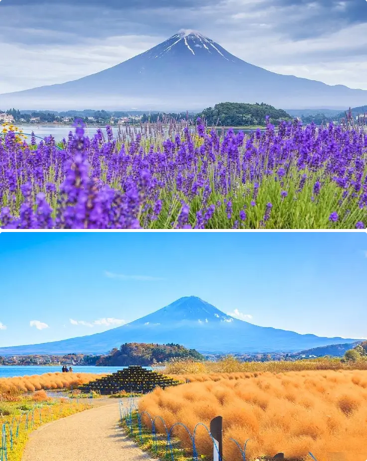 Mount Fuji reflected on Lake Kawaguchiko with scenic surroundings