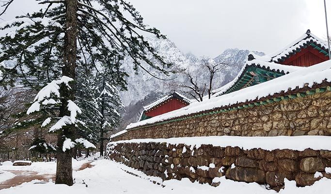 Half Day Mt. Seoraksan Tour from Yongpyong Ski Resort