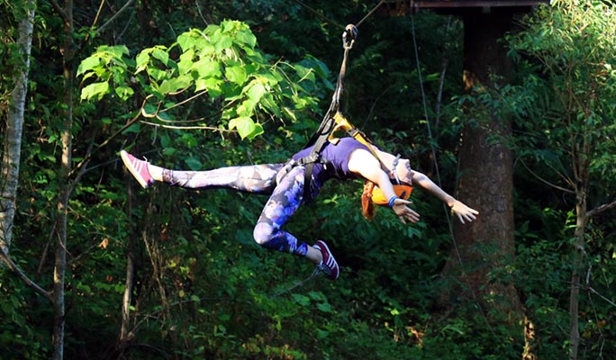 Tree Top Adventure Park Koh Chang: Zipline + Rope Bridges + Tarzan Swing (+ Hotel Transfer option)