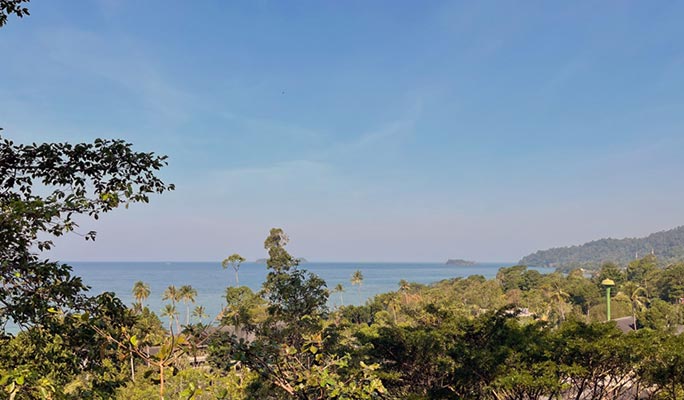 Tree Top Adventure Park Koh Chang: Zipline + Rope Bridges + Tarzan Swing (+ Hotel Transfer option)