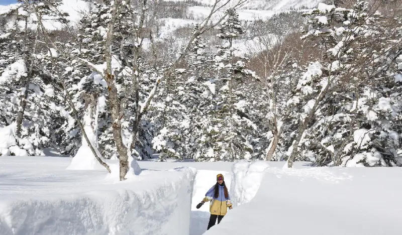 Tourists walking beside the towering Tsugaike Snow Wall surrounded by thick snow.