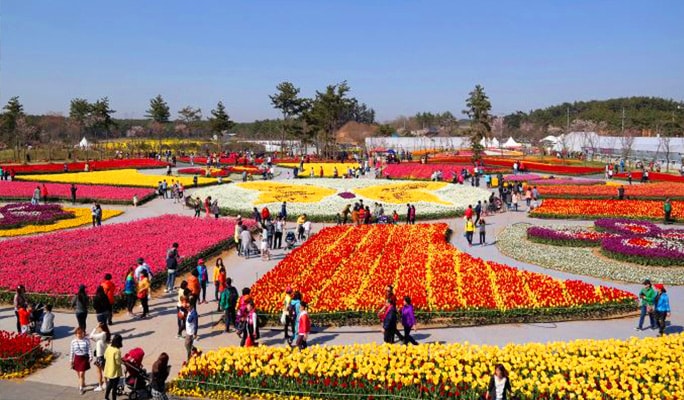 Korea Silk Tie festival of flowers High quality