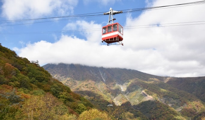 Nikko 1 Day Tour from Tokyo (Toshogu Shrine + Irohazaka Road + Akechidaira Ropeway + Lake Chuzenji + Kegon Falls)