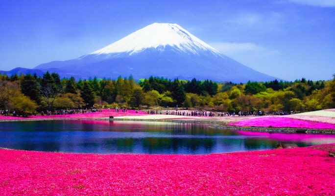 Mt. Fuji Lake Kawaguchi + Lake Yamanaka + Onsen 1 Day Tour from Tokyo