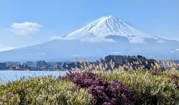 Mt. Fuji Lake Kawaguchi + Lake Yamanaka + Onsen 1 Day Tour from Tokyo