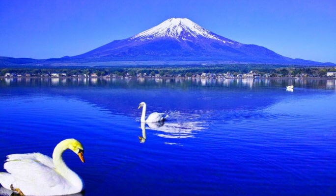 Mt. Fuji Lake Kawaguchi + Lake Yamanaka + Onsen 1 Day Tour from Tokyo