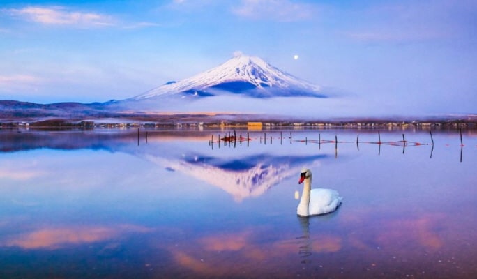 Mt. Fuji Lake Kawaguchi + Lake Yamanaka + Onsen 1 Day Tour from Tokyo