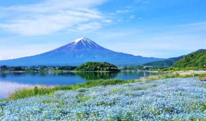 Mt. Fuji Lake Kawaguchi + Lake Yamanaka + Onsen 1 Day Tour from Tokyo