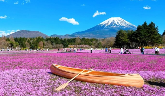 Mt. Fuji Lake Kawaguchi + Onsen + Wind & Ice Cave 1 Day Tour from Tokyo