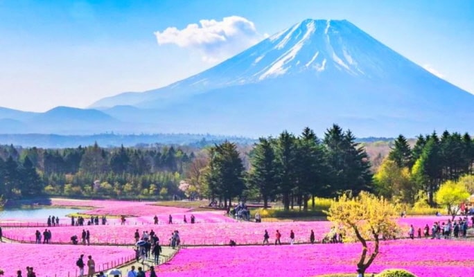 Mt. Fuji Lake Kawaguchi + Onsen + Wind & Ice Cave 1 Day Tour from Tokyo