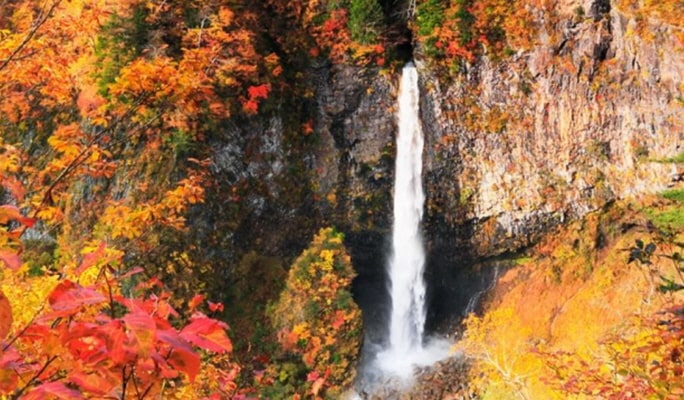 Nikko 1 Day Tour from Tokyo (Toshogu Shrine + Irohazaka Road + Akechidaira Ropeway + Lake Chuzenji + Kegon Falls)