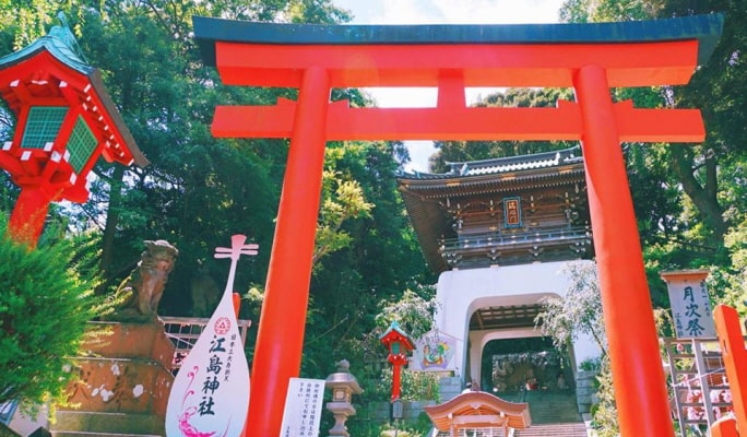 Kamakura Hasedera Temple + Enoshima 1 Day Tour from Tokyo