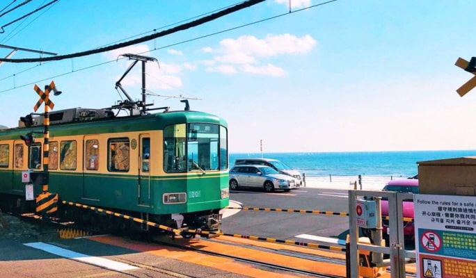 Kamakura Hasedera Temple + Enoshima 1 Day Tour from Tokyo