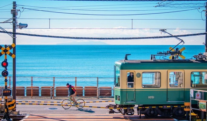 Kamakura Hasedera Temple + Enoshima 1 Day Tour from Tokyo