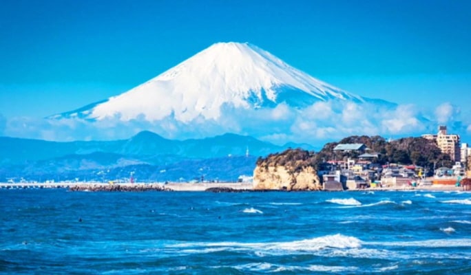 Kamakura Hasedera Temple + Enoshima 1 Day Tour from Tokyo