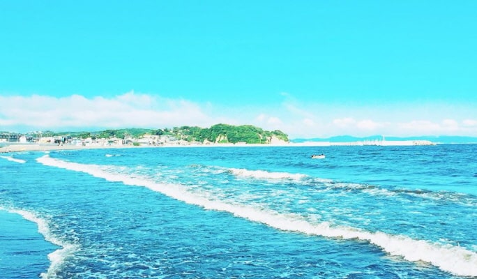 Kamakura Hasedera Temple + Enoshima 1 Day Tour from Tokyo