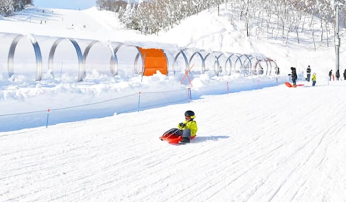 Mt. Fuji Skiing and Onsen 1 Day Tour From Tokyo
