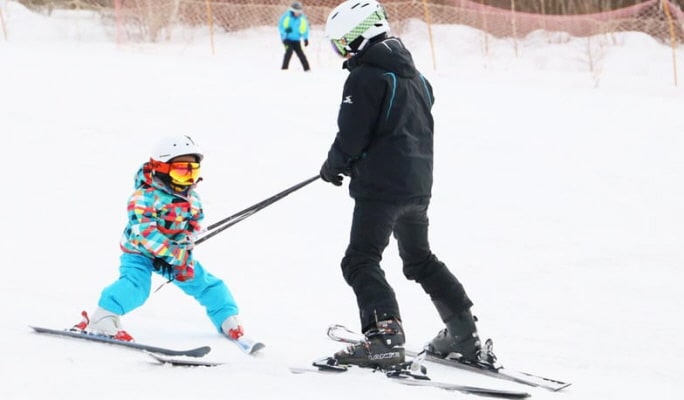 Mt. Fuji Skiing and Onsen 1 Day Tour From Tokyo