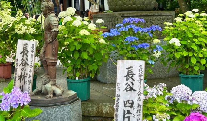 Kamakura Hasedera Temple + Enoshima 1 Day Tour from Tokyo