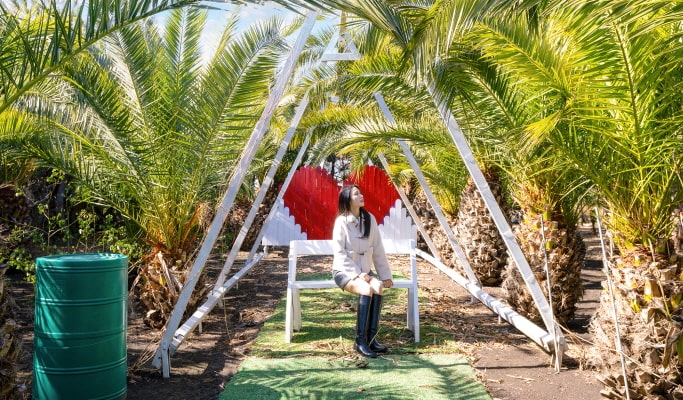 Jeju Udo Garden Discount Ticket