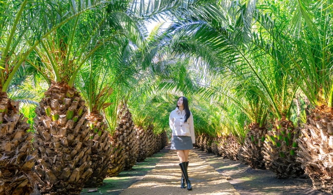 Jeju Udo Garden Discount Ticket