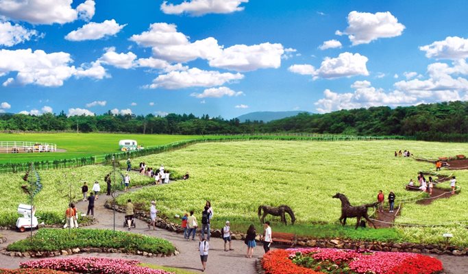 Udo Island + Eco Land Jeju 1 Day Tour + Ice Cream Making Experience