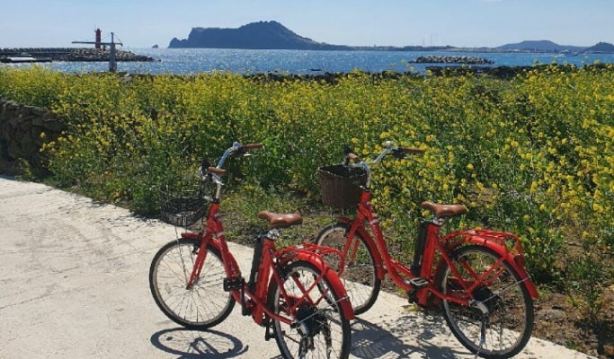 済州島の牛島（ウド）での電動自転車レンタル