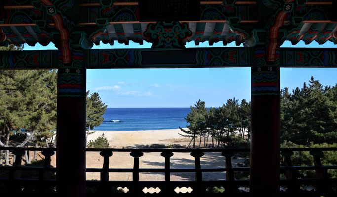 Gyeongbuk Uljin 1 Day Ocean View  Tour from Daegu