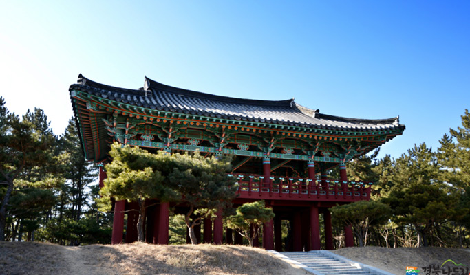 Gyeongbuk Uljin 1 Day Ocean View  Tour from Daegu
