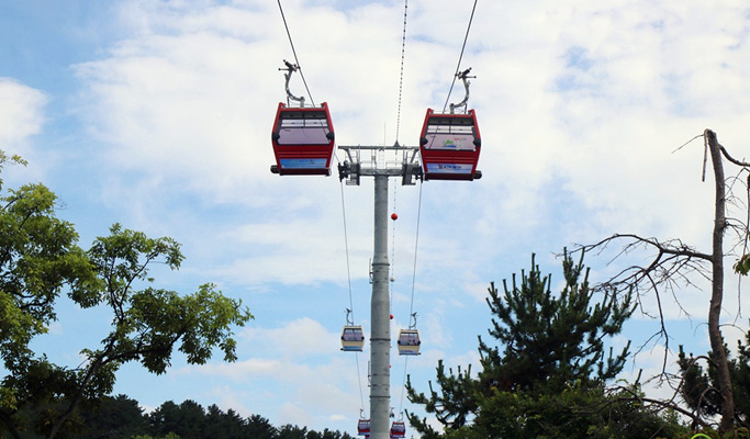 蔚珍王避川纜車票