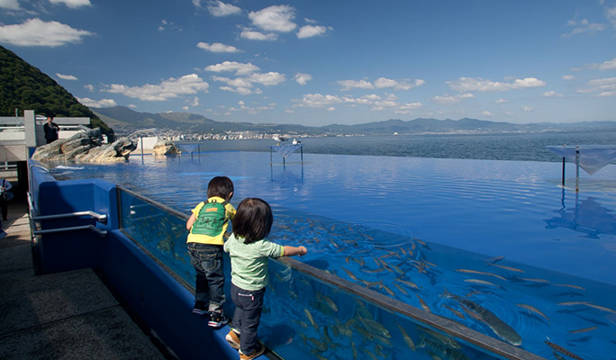 Umitamago Aquarium Admission Ticket