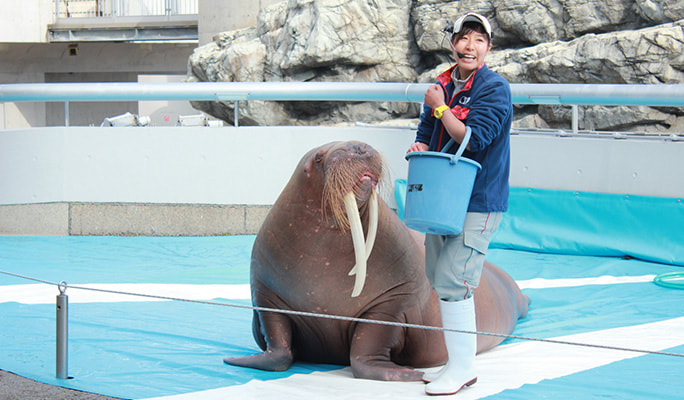 Umitamago Aquarium Admission Ticket
