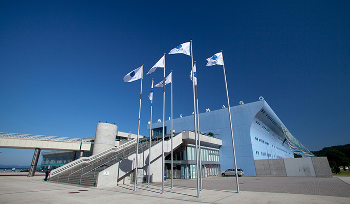 Umitamago Aquarium Admission Ticket