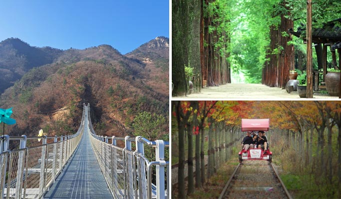 Nami Island & Unaksan Suspension Bridge Tour (+ Rail Bike option)