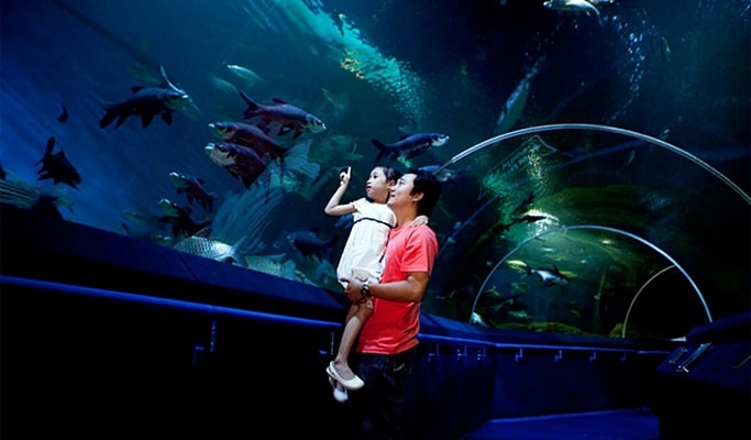 Подводный мир Паттайя (Underwater World Pattaya)