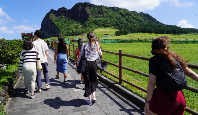 Jeju Island UNESCO 1 Day Small Group Tour (+Lunch)