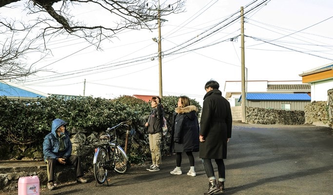 Jeju Walking Tour near Seongsan Ilchulbong (Sunrise Peak)