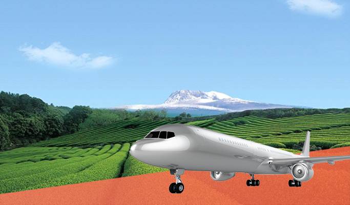 Visit Jeju Island in 1 Day from Daegu (Round-trip Flights & Group Tour Included)