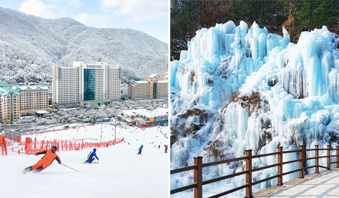 Vivaldi Park Ski Resort & Eobi Ice Valley: 1 Day Ski/Snowboard/Sled Tour - from Seoul