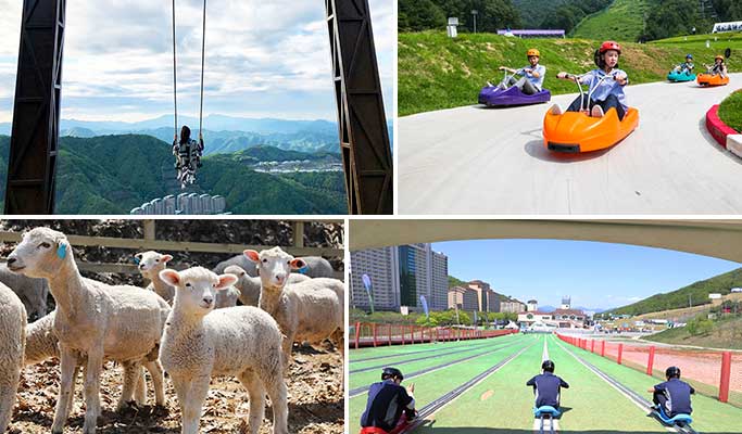 Sono Belle Vivaldi Park Sky Swing Chuseok Package: Room + Activities + Shuttle Bus