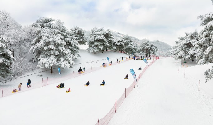 Vivaldi Park Ski Resort & Eobi Ice Valley: 1 Day Ski/Snowboard/Sled Tour - from Seoul