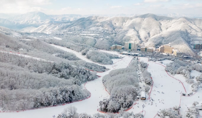 Vivaldi Park Ski Resort & Eobi Ice Valley: 1 Day Ski/Snowboard/Sled Tour - from Seoul